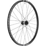 DT Swiss F 1900 Classic DB 29"- Vorderrad