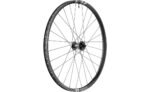 DT Swiss F 1900 Classic DB 29"- Vorderrad